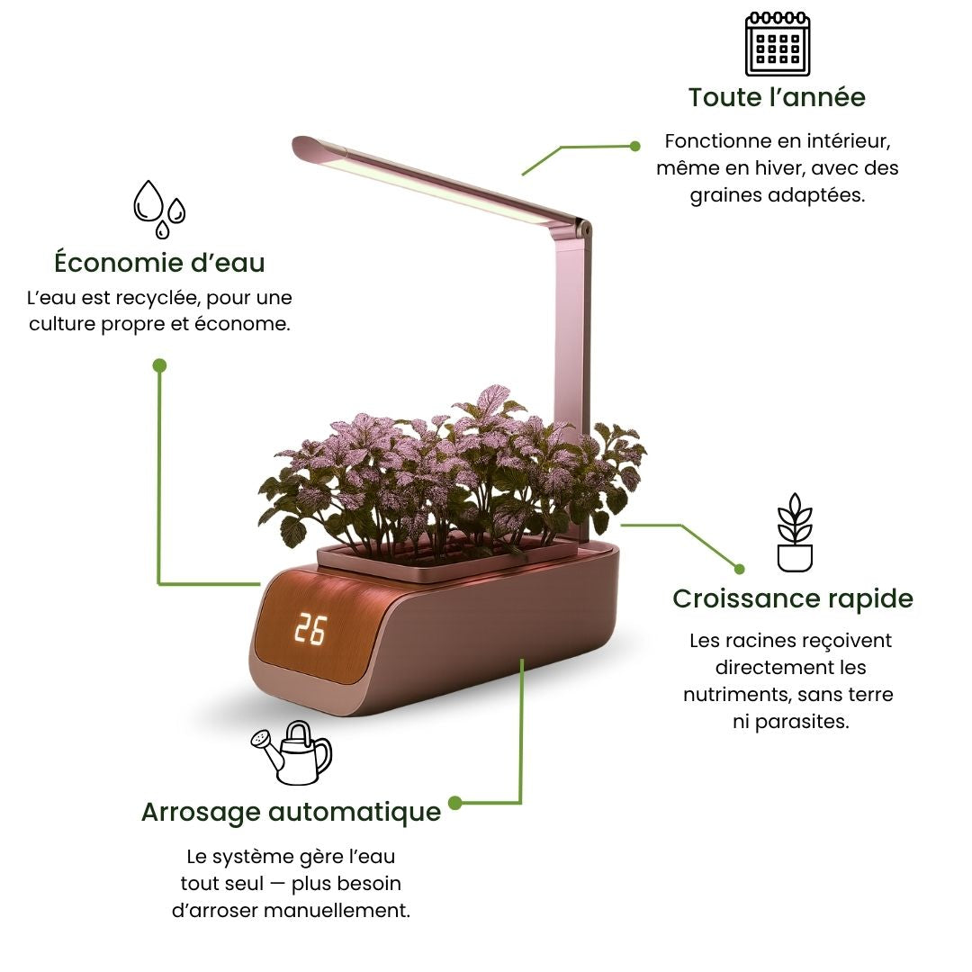 Kit de jardinage Intérieur