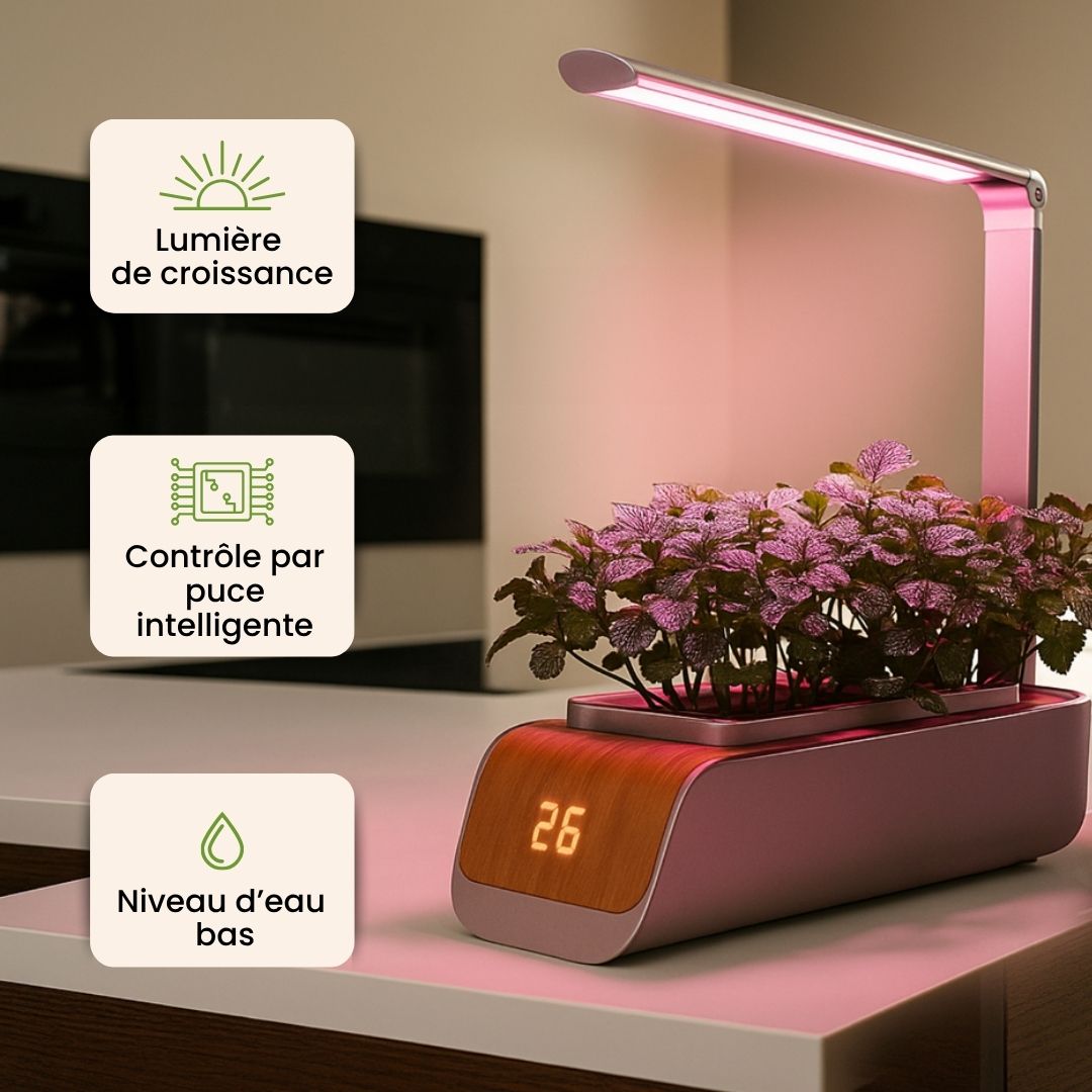 Kit de jardinage Intérieur