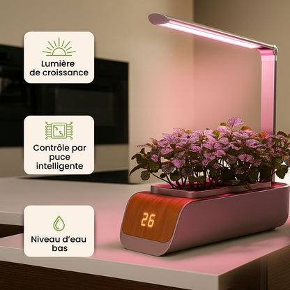 Kit de jardinage Intérieur