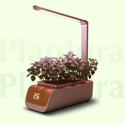 Kit de jardinage Intérieur